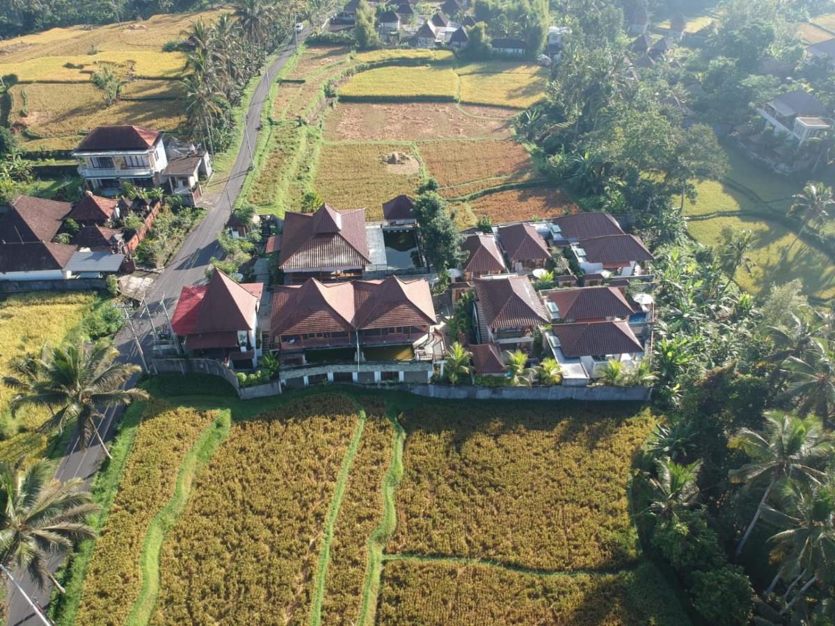 Danakha Villa Ubud Tegallalang  Buitenkant foto